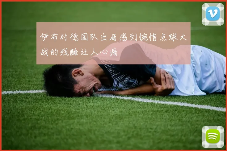 伊布对德国队出局感到惋惜点球大战的残酷让人心痛
